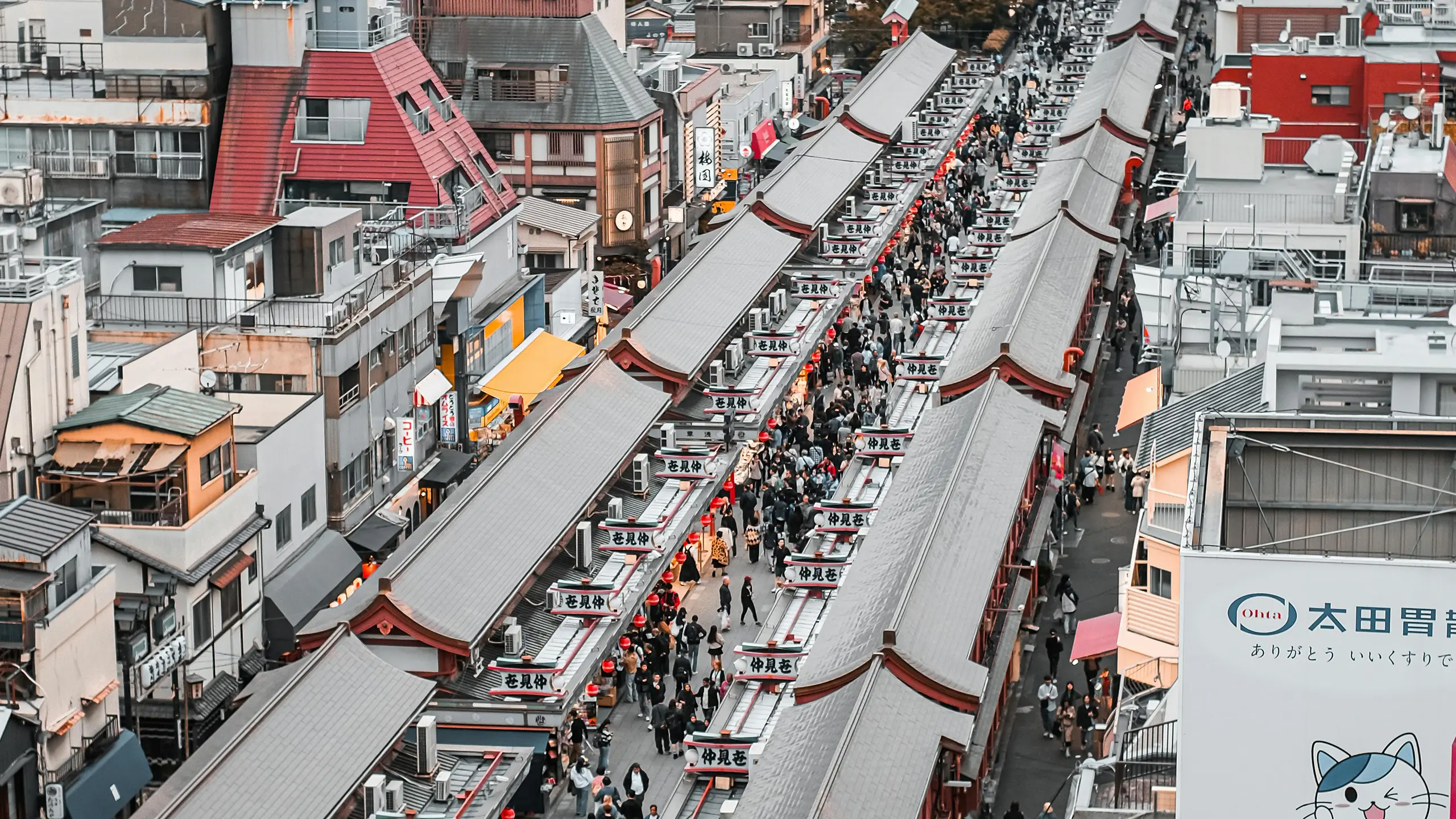 Market Visit