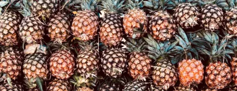 From Pineapple to Paper