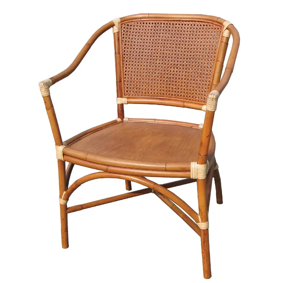 Alexa Dining Arm Chair, image 1