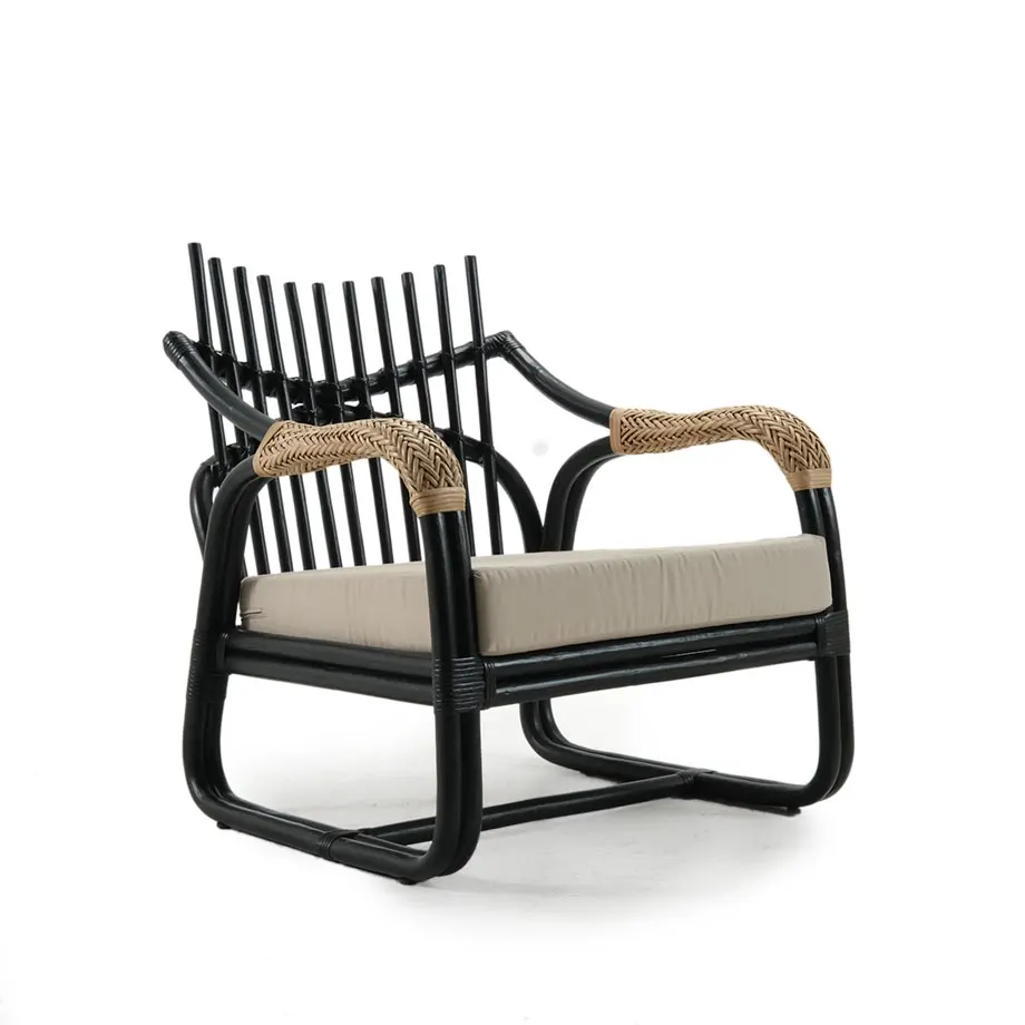 Jim Lounge Chair, image 1