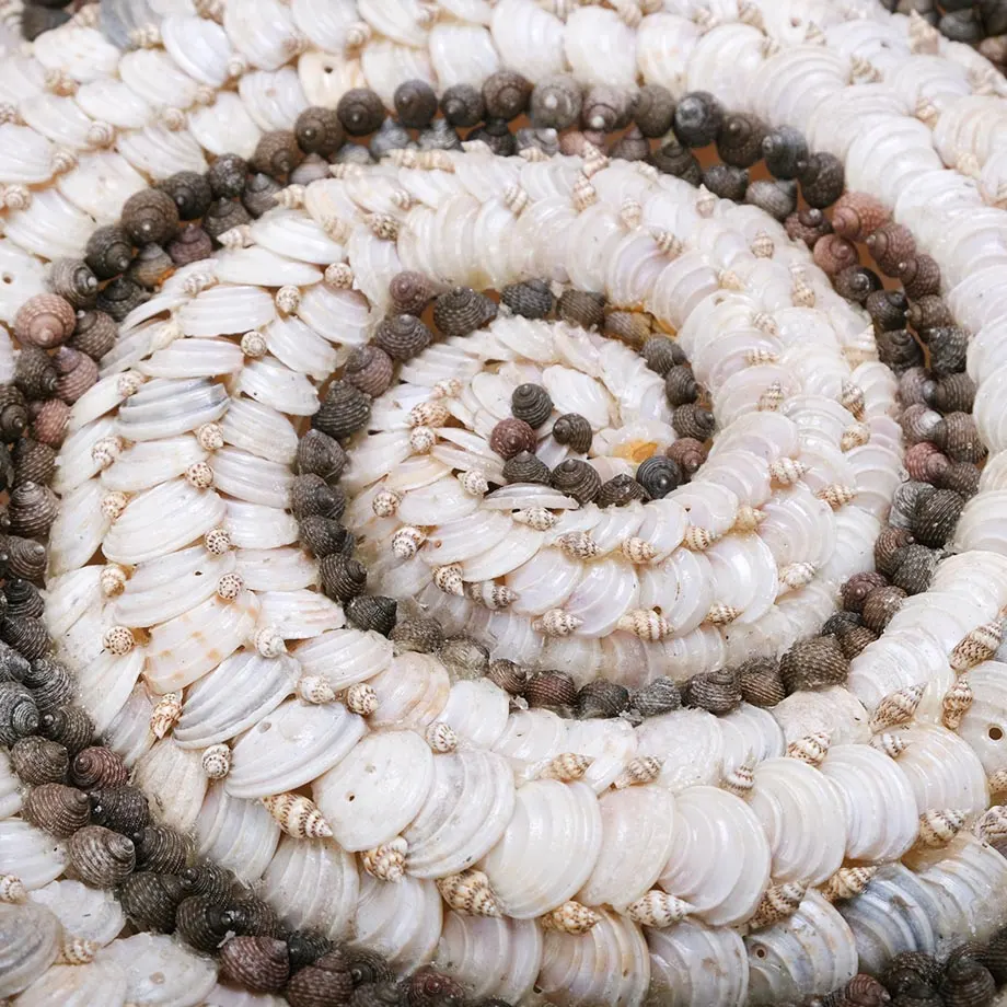 Wall hanging shell nautilus, image 2