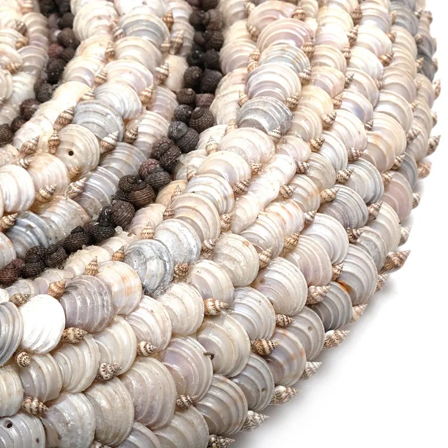 Wall hanging shell nautilus, image 1