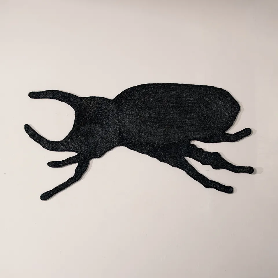 Salagubang (Beetle), image 4