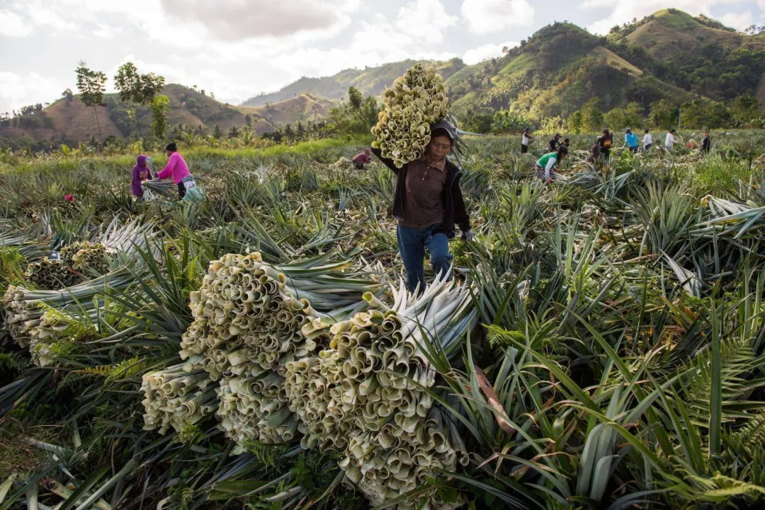 Ananas Anam Philippines Inc