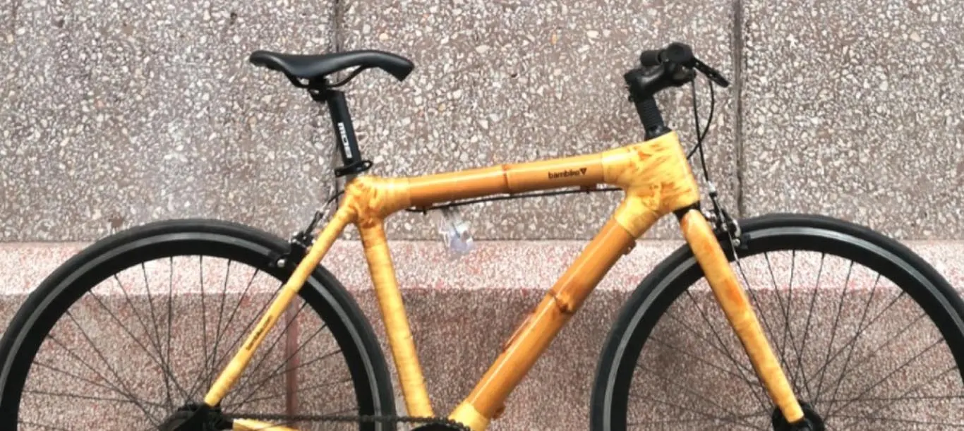 A Beautiful Ride