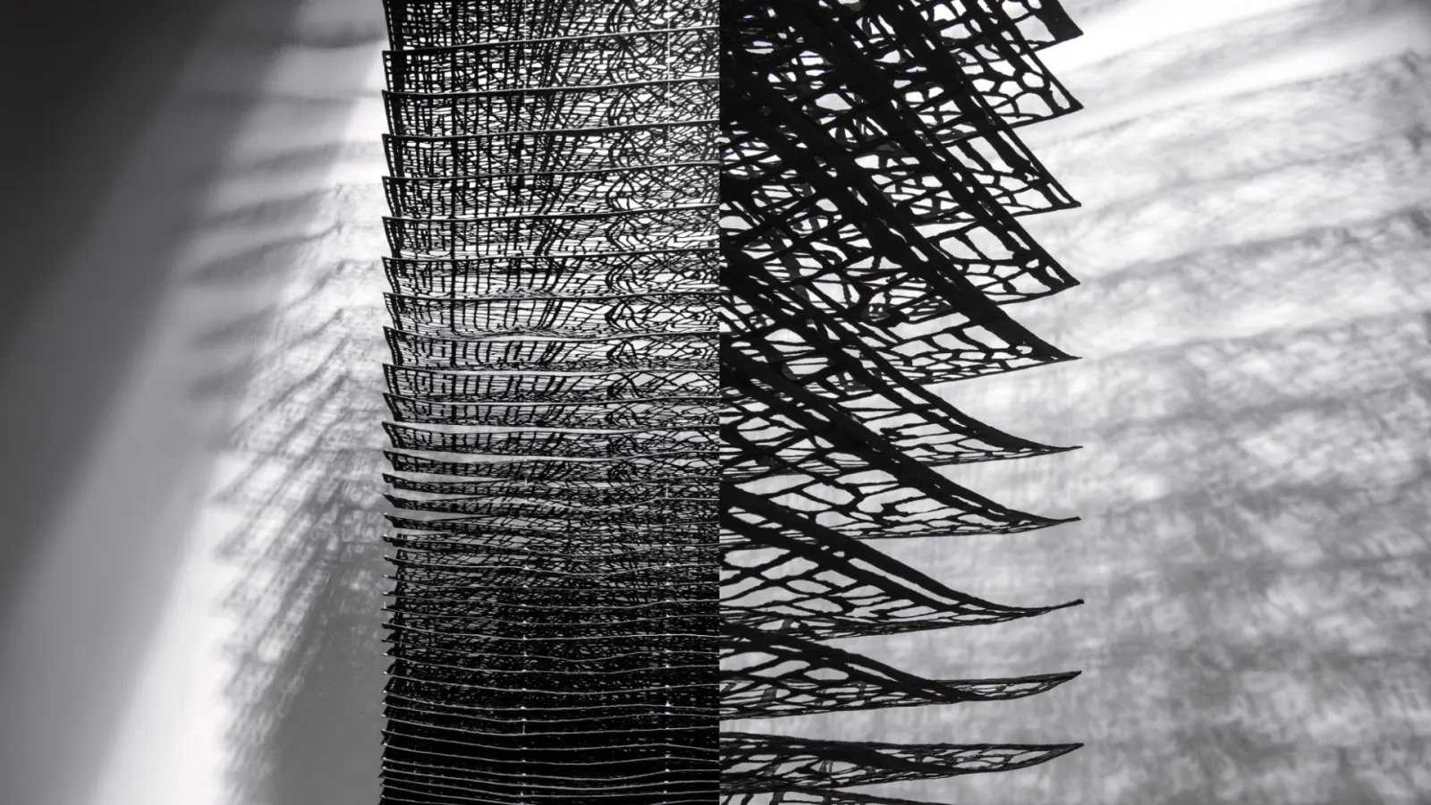 Squeezing the Pulp: New Forms of Paper