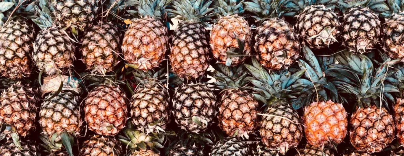From Pineapple to Paper