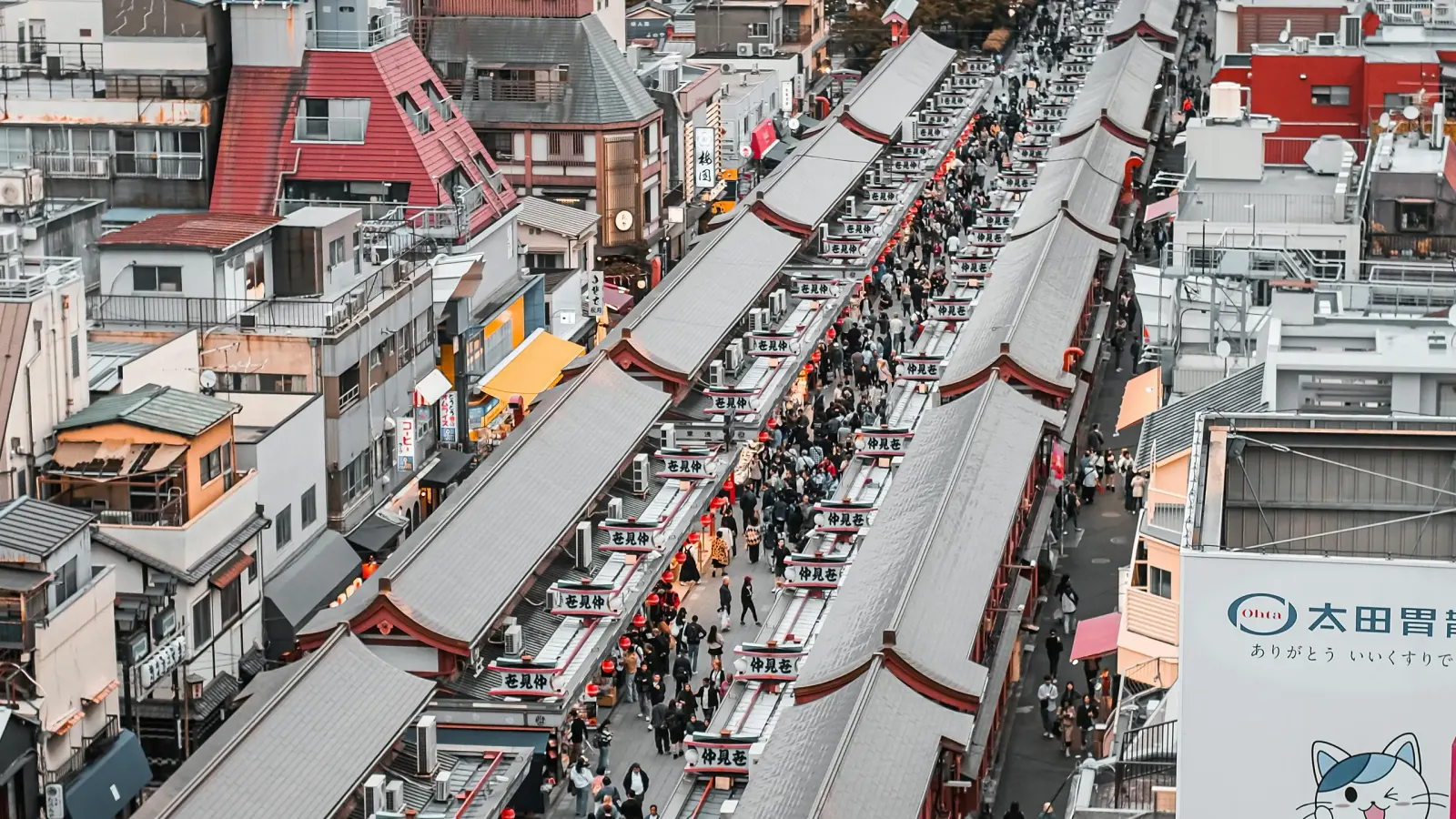 Market Visit
