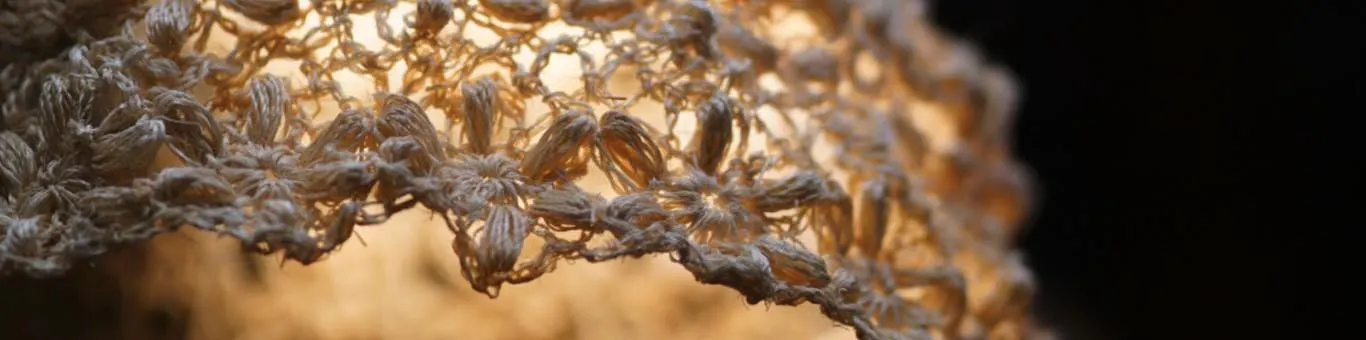 Abaca, The Strongest Natural Fiber