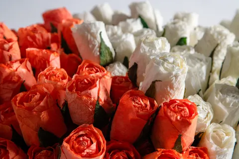 Unbound Petals of Inspired Design 