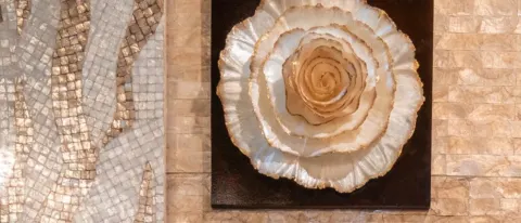 I See Sea Shells