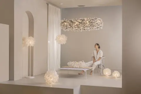 Blooming