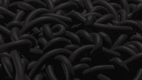 Black is the New Black