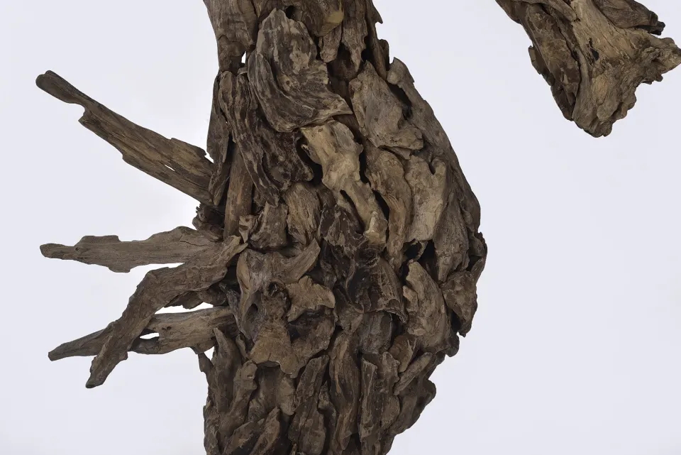 Driftwood Sea Horse, image 3