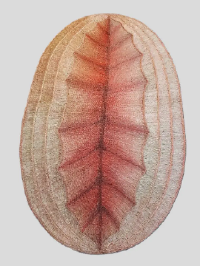 BE Rug , image 6