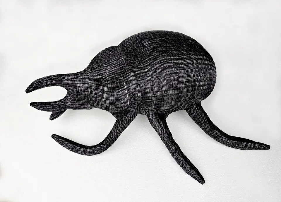 Salagubang (Beetle), image 1
