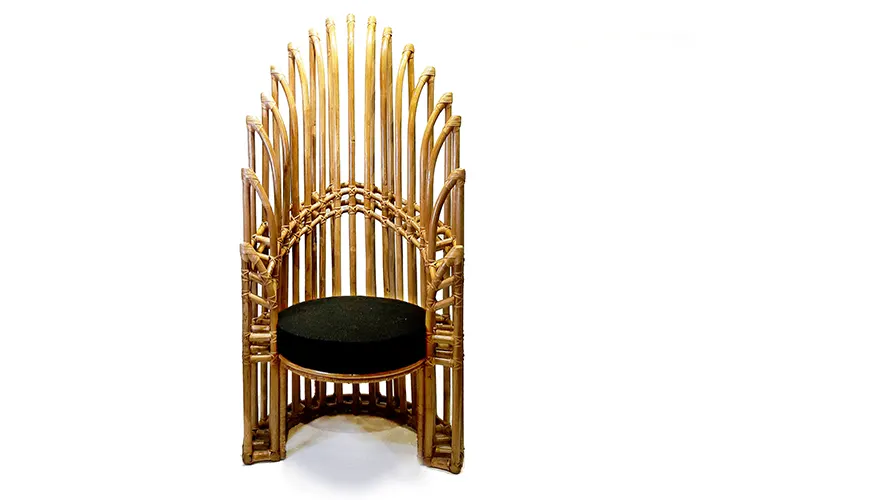 Pabo (Peacock) Accent chair, image 2