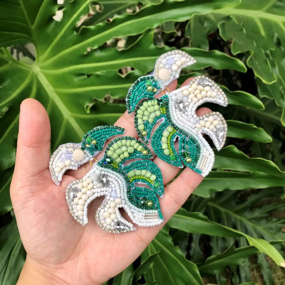 Monstera Albo