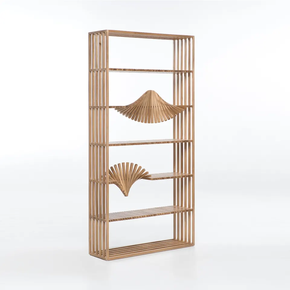 Remini Bookshelf, image 1