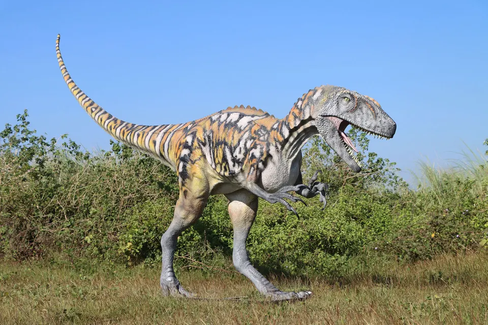 Dinosaur Giant Australovenator, image 2