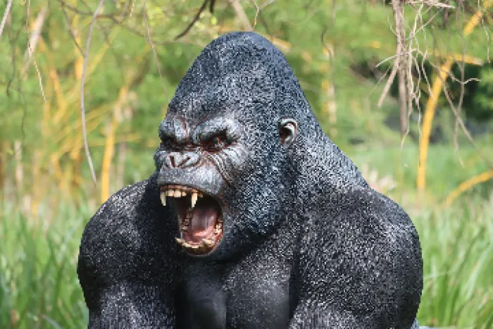 Larger then life Gorilla, image 3