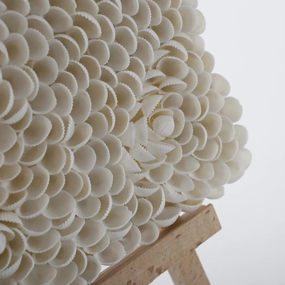 Artwork Shell, image 5