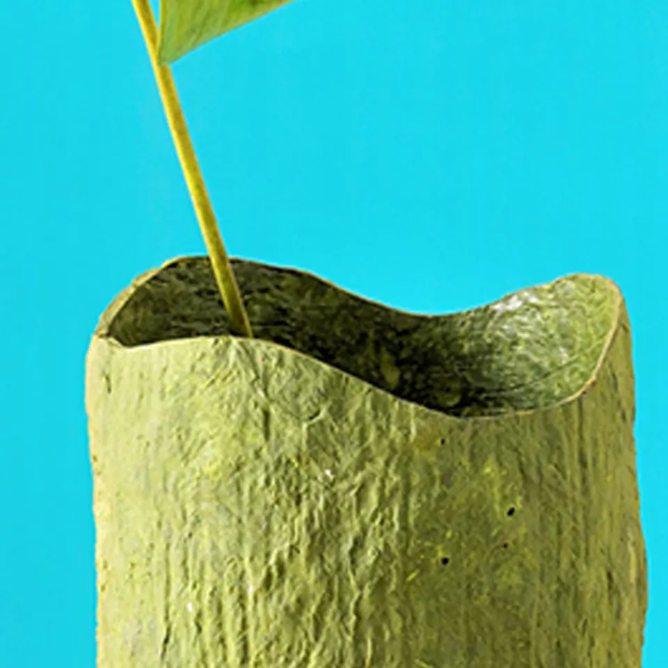 Wood Bark Paper Clay Vase, image 3