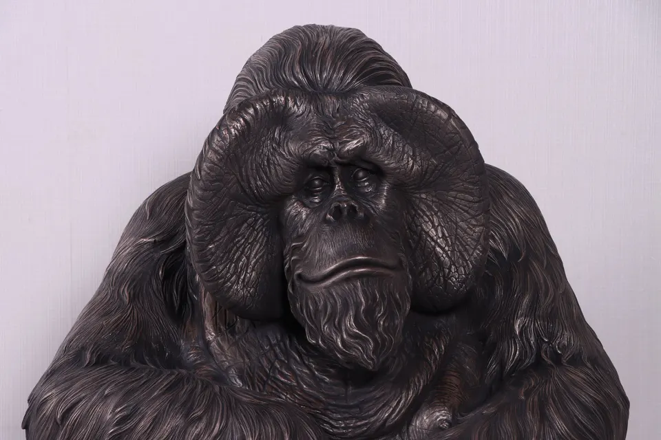 Sitting urangutan, image 4