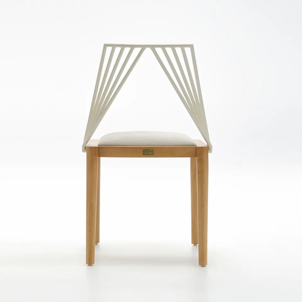 Hugo Dining Chairs, image 2