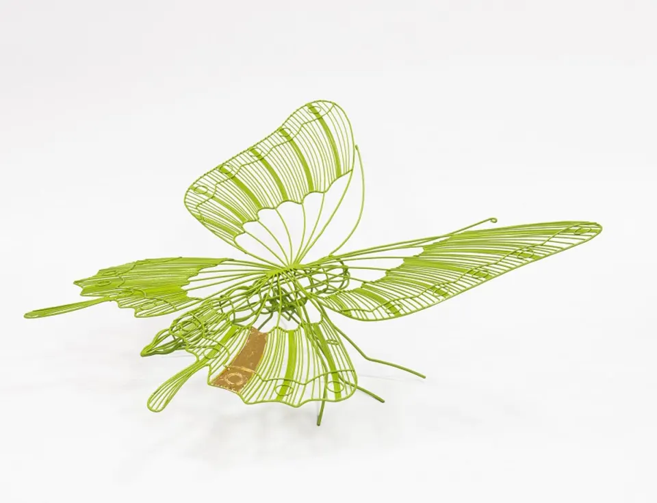 Butterfly with Tail, image 2