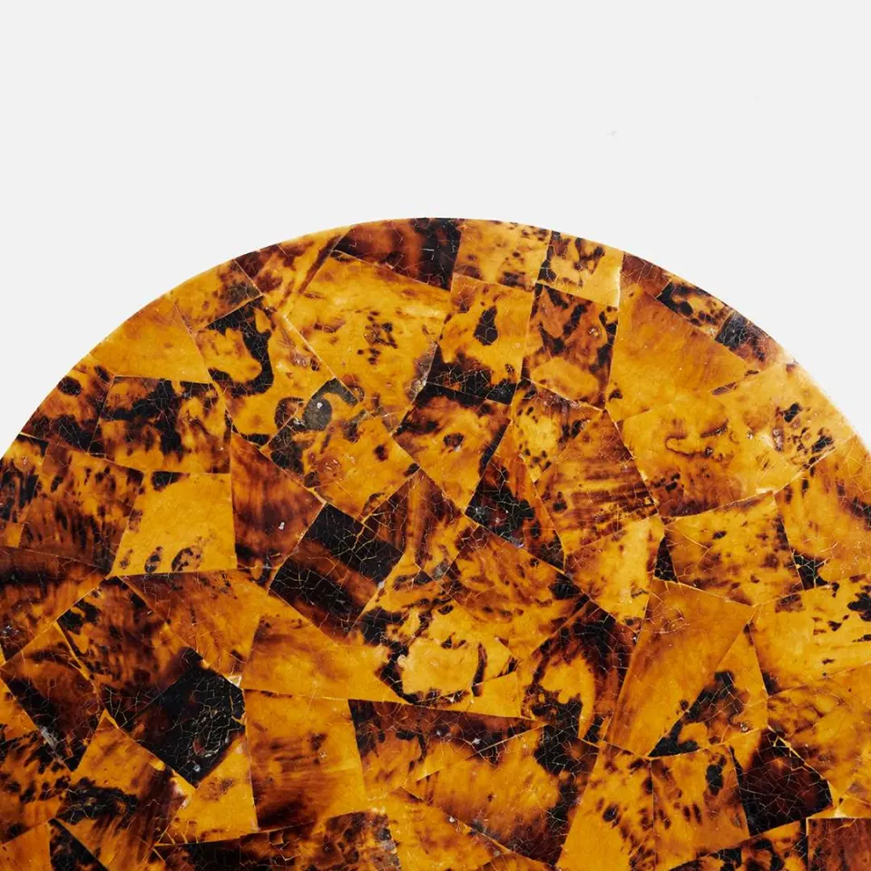 Tortoise Placemat, image 4