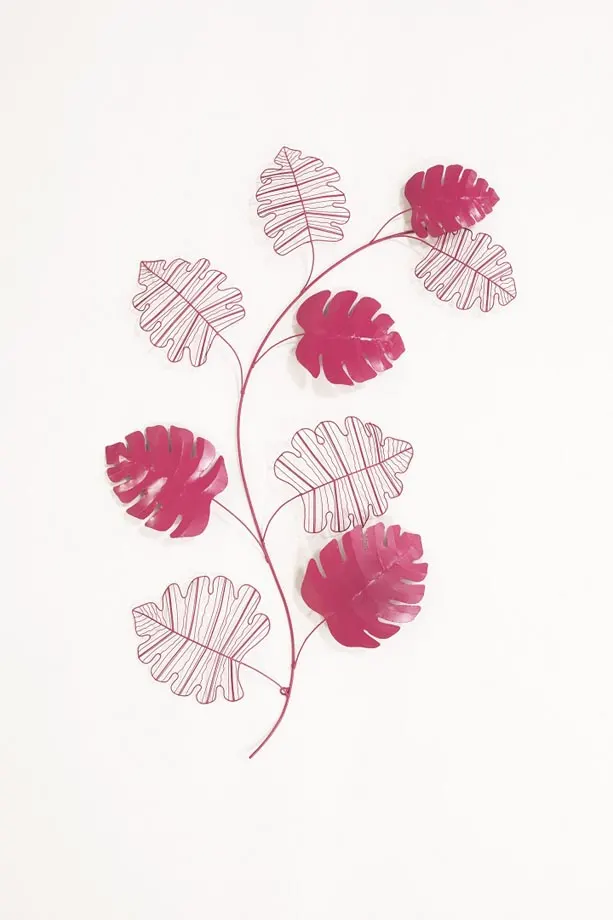Monstera, image 1