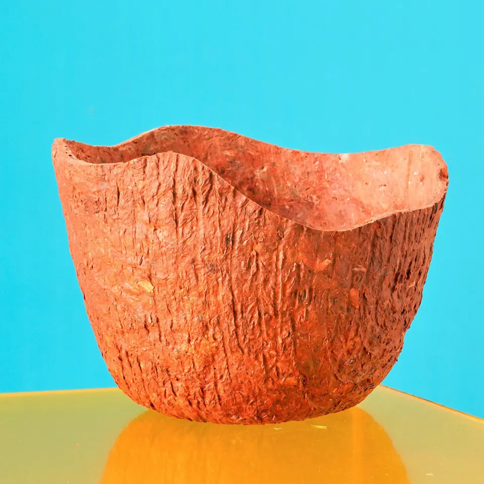 Wood Bark Paper Clay Bowl, image 3
