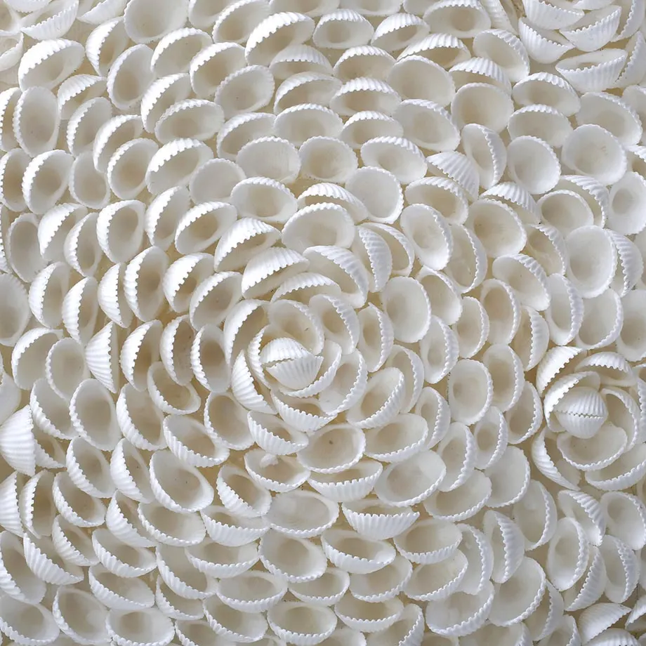 Artwork Shell, image 3