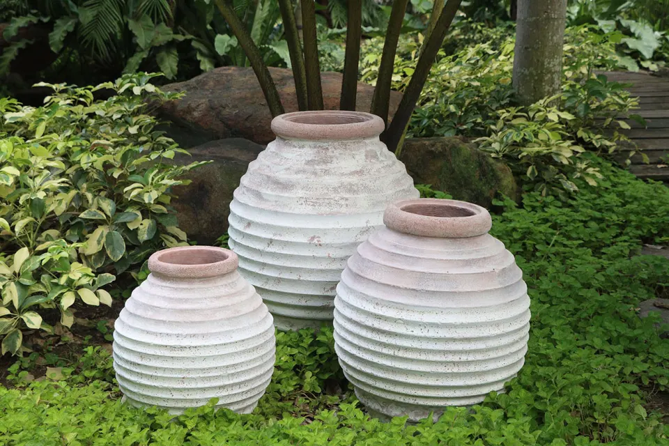 Olive pots, image 1