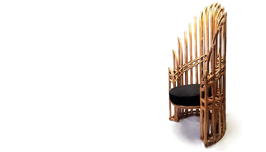 Pabo (Peacock) Accent chair, image 1