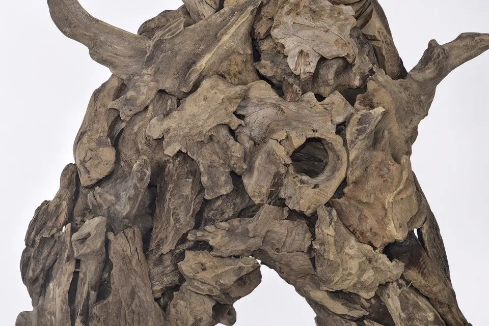 Driftwood Sea Horse, image 4