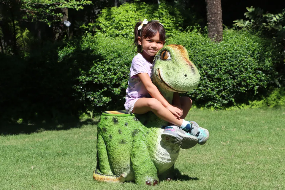 Dinosaur Kiddies furniture, image 3