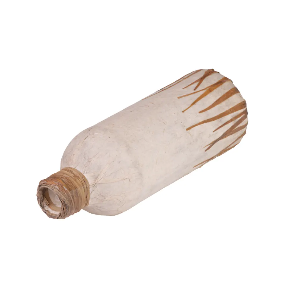 BOTTLE VASE, image 3