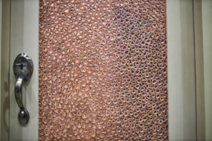 CONGO (Doors), image 2