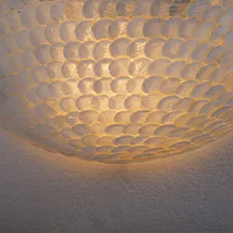 Clam Shape Wall Lamp, image 1