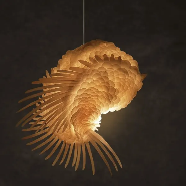 Kai’a Hanging lamp, image 4