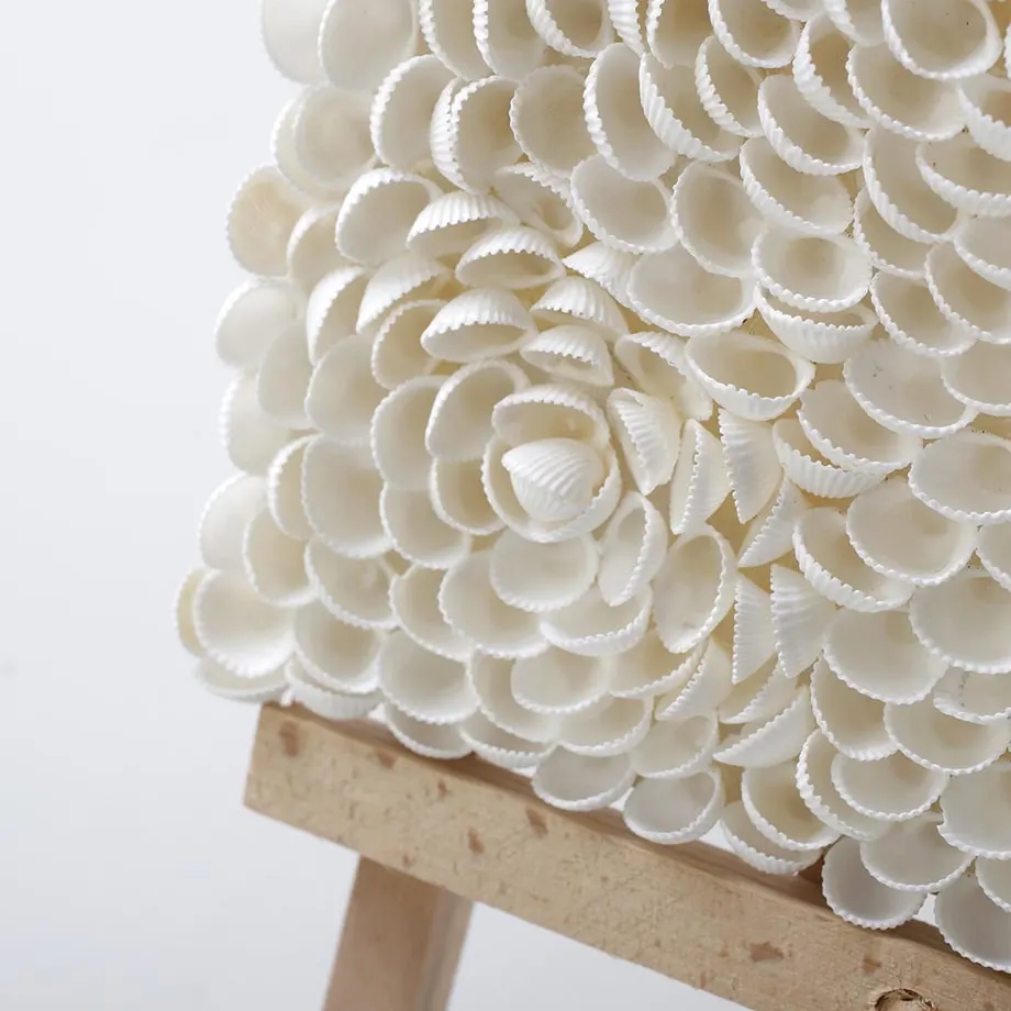 Artwork Shell, image 2