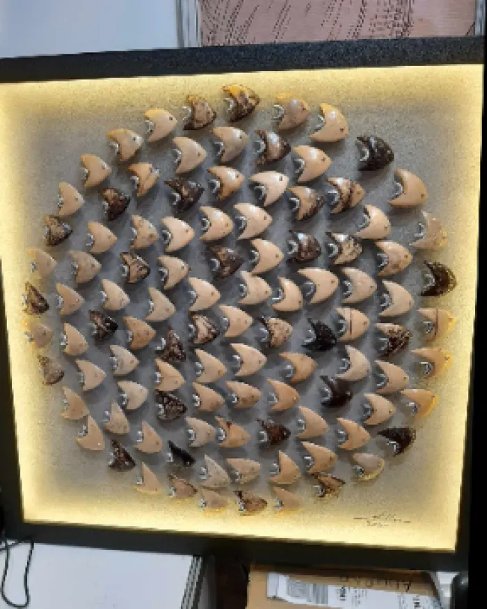 Adorno 72 Wall Decor 1
