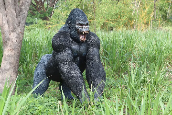 Larger then life Gorilla, image 1