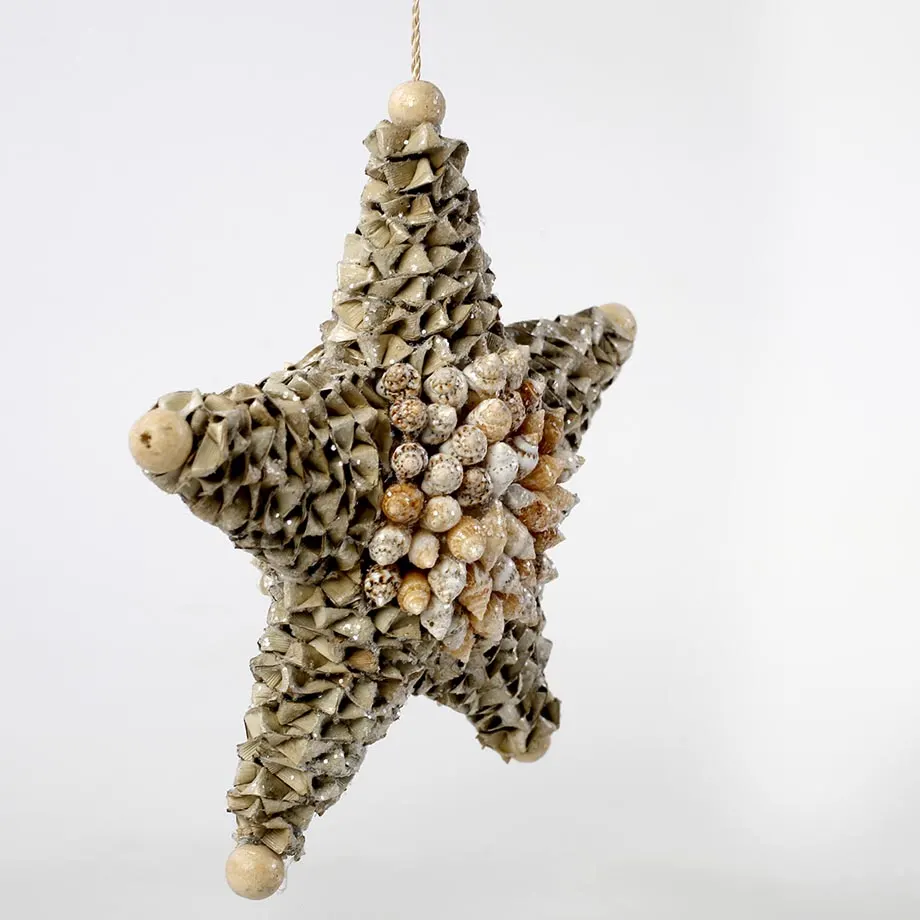 6” Stars with shell, image 2