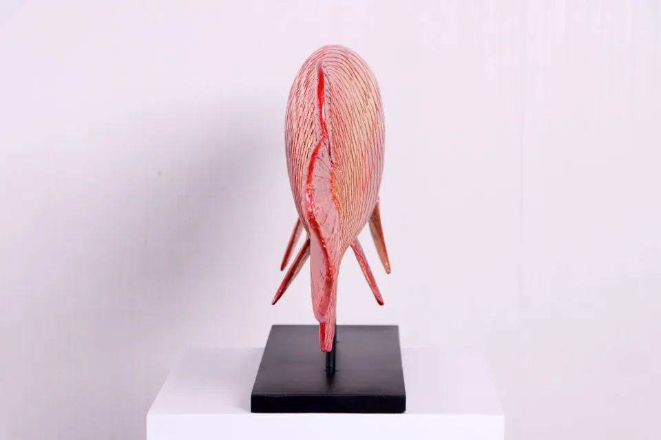 Arowana, image 5