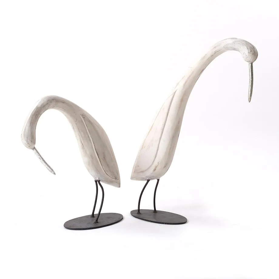 Shore birds, image 5