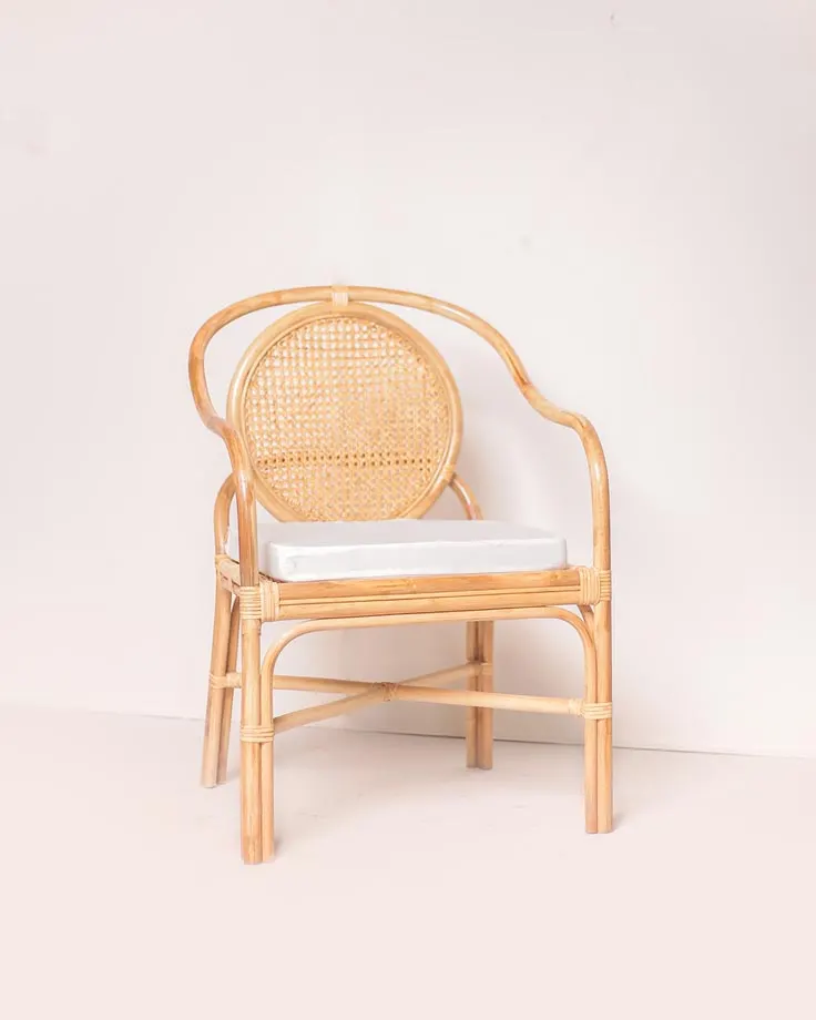 Petra Dining Chair, image 1
