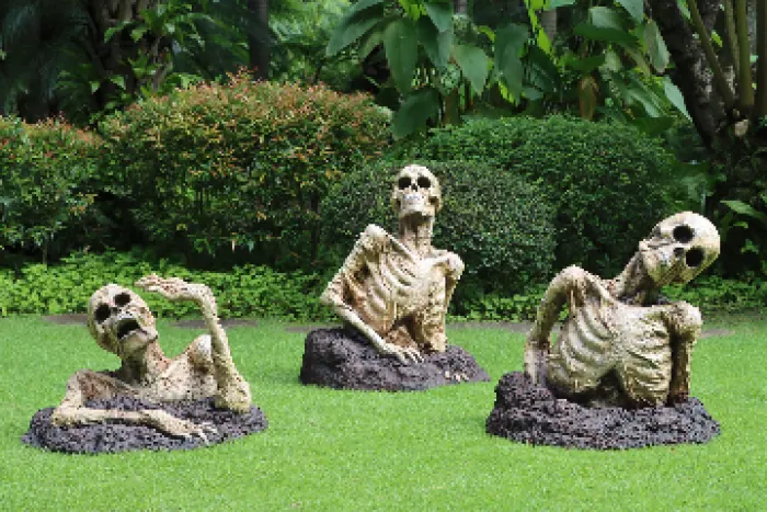 zomby brothers, image 2